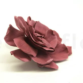 Gard&eacute;nia stabilis&eacute; Cranberry (x3)
