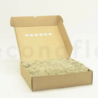 Lichen stabilis&eacute; Cr&egrave;me (Bo&icirc;te)
