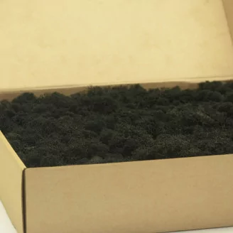 Lichene stabilizzato Nero (Scatola)