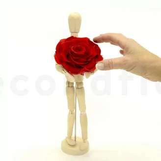 Konservierte Mandala Rose XXL Rot