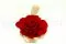 Konservierte Mandala Rose XXL Rot 4
