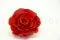 Rose stabilis&eacute;e mandala XXL Rouge 2