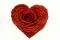 Rosa stabilizzata a forma di cuore XXL Rosso 1