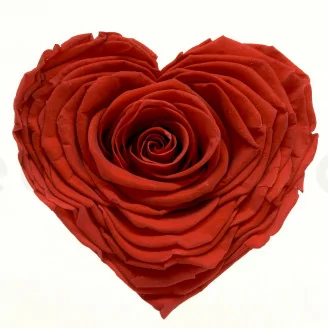 Rose stabilis&eacute;e Forme C&oelig;ur XXL Rouge