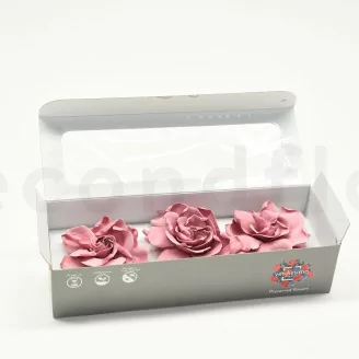 Konservierte Gardenie Rosa (x3)