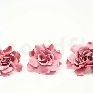 Konservierte Gardenie Rosa (x3)