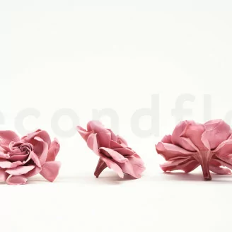 Gard&eacute;nia stabilis&eacute; Rose (x3)