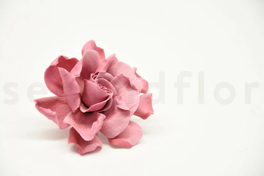 Konservierte Gardenie Rosa (x3)