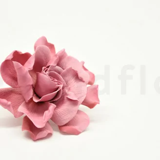 Gardenia stabilizzata Rosa (x3)