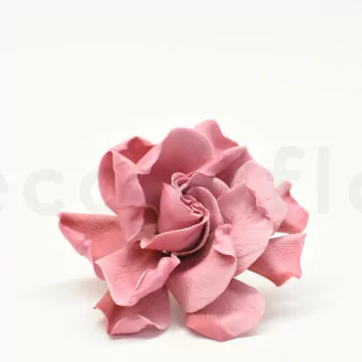 Gard&eacute;nia stabilis&eacute; Rose (x3)