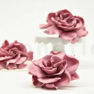 Konservierte Gardenie Rosa (x3)