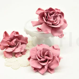 Gard&eacute;nia stabilis&eacute; Rose (x3)