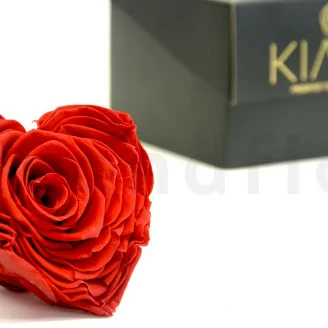 Rose stabilis&eacute;e Forme C&oelig;ur XXL Rouge