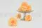 Preserved Rose XL Peach (x6) 7