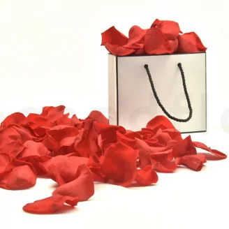 P&eacute;talos de Rosa preservados Rojo