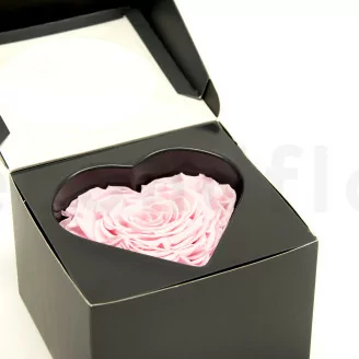 Rosa stabilizzata a forma di cuore XXL Rosa