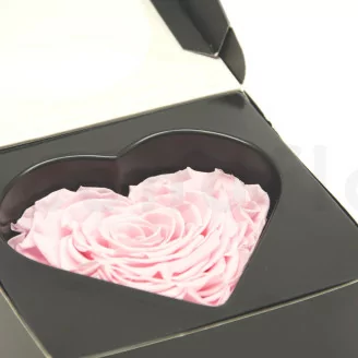 Rosa stabilizzata a forma di cuore XXL Rosa
