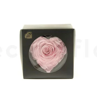 Rosa stabilizzata a forma di cuore XXL Rosa