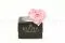 Rose stabilis&eacute;e Forme C&oelig;ur XXL Rose 5