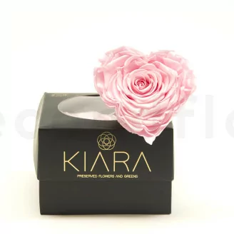 Rosa stabilizzata a forma di cuore XXL Rosa