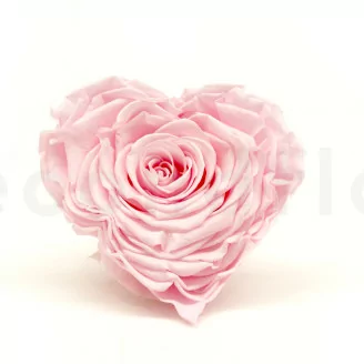 Rose stabilis&eacute;e Forme C&oelig;ur XXL Rose