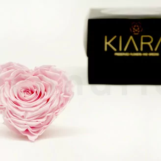 Rosa stabilizzata a forma di cuore XXL Rosa