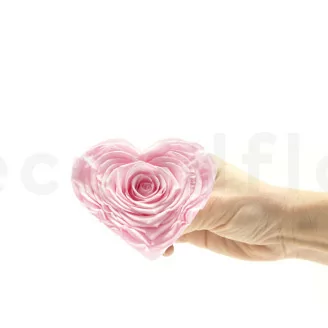 Rosa stabilizzata a forma di cuore XXL Rosa