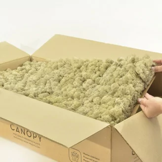 Lichen stabilis&eacute; Cr&egrave;me (Carton)