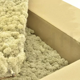 Konserviertes Islandmoos Creme (Gro&szlig;karton)