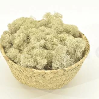 Lichen stabilis&eacute; Cr&egrave;me (Carton)