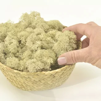 Lichen stabilis&eacute; Cr&egrave;me (Carton)