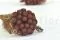 Preserved Brunia Albiflora Burgundy 1