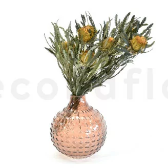 Banksia Dryandra stabilizzato