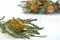 Banksia Dryandra stabilizzato 5