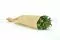 Konservierter Salignum weiblich Gr&uuml;n 3
