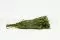 Salignum Femelle stabilis&eacute; Vert 6