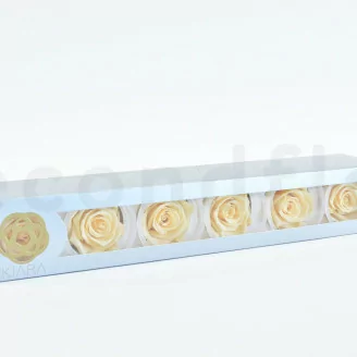 Konservierte Rose XL Champagne (x6)
