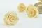 Preserved Rose XL Champagne (x6) 1