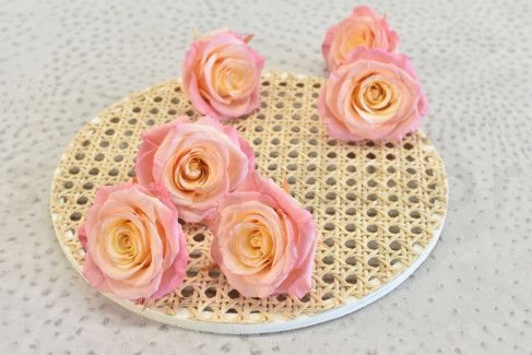 Stabilized Full Bloom Rose L Box Of 6 Gelato Pink Stabilized Full Bloom Rose L Box Of 6 Gelato Pink