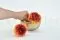 Dalia Grace stabilizzato Arancione (x2) 6