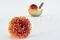 Dalia Grace stabilizzato Arancione (x2) 2