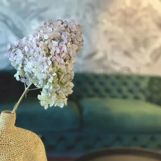 Preserved Peegee Hydrangea Oregano Purple