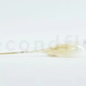 Fluffy s&eacute;ch&eacute; Blanc (x8)