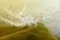 Fluffy essiccata Bianco (x8) 5