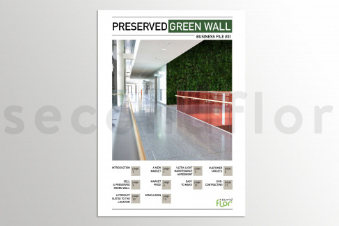 [G_P_SF-DB-1_E] Business file 1 - «Preserved Green Wall»