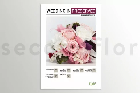 [G_P_SF-DB-2_E] Business file 2 - «Wedding in preserved»