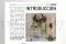 [G_P_SF-DB-2_E]Folleto Business 2 - &laquo;Boda en preservado&raquo; 2