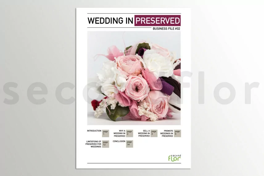 [G_EN_SF-DB-2_E] Dossier business 2 - &laquo;Mariage en stabilis&eacute;&raquo;