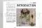 [G_EN_SF-DB-2_E] Folleto Business 2 - &laquo;Boda en preservado&raquo; 2