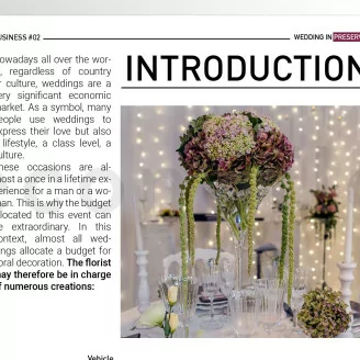 [G_EN_SF-DB-2_E] Folleto Business 2 - &laquo;Boda en preservado&raquo;